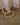 erplain_file_id:1092170 - Créoles Diane